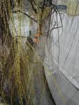 Imagine atasata: Bega - 2015.03.12 - 16.jpg